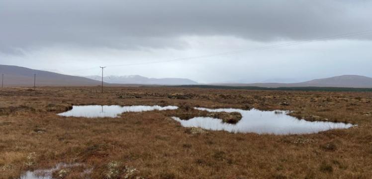 An image of peatlands
